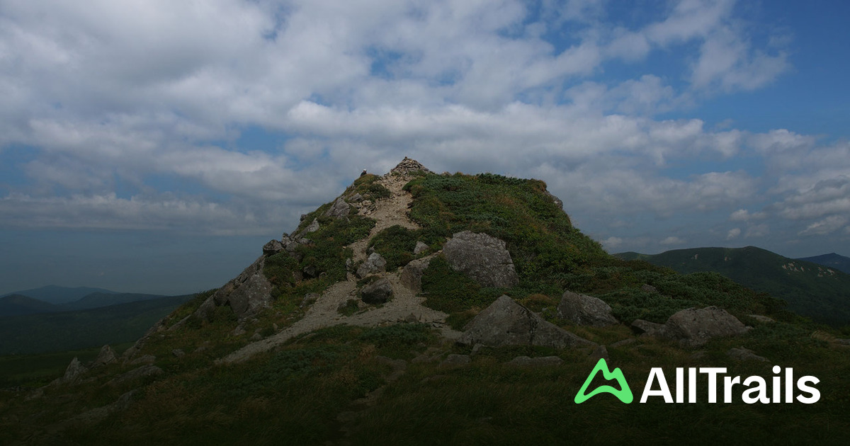 山山 小畚山 - hikes and trails to get you there | AllTrails