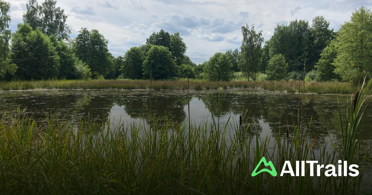 Best trails near Camping Plothener Teiche | AllTrails