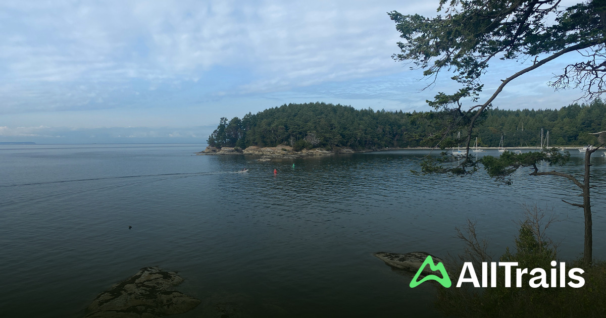 Fox Cove