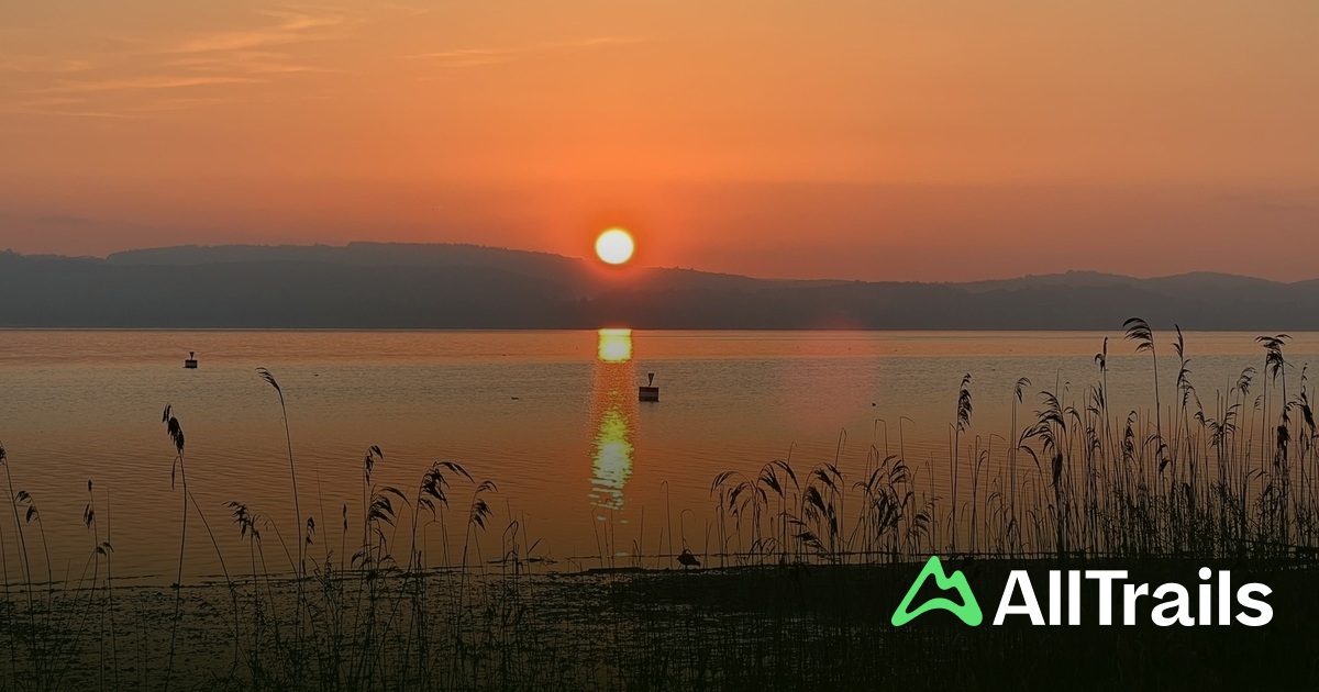 Campingplatz Markelfingen - hikes and trails to get you there | AllTrails