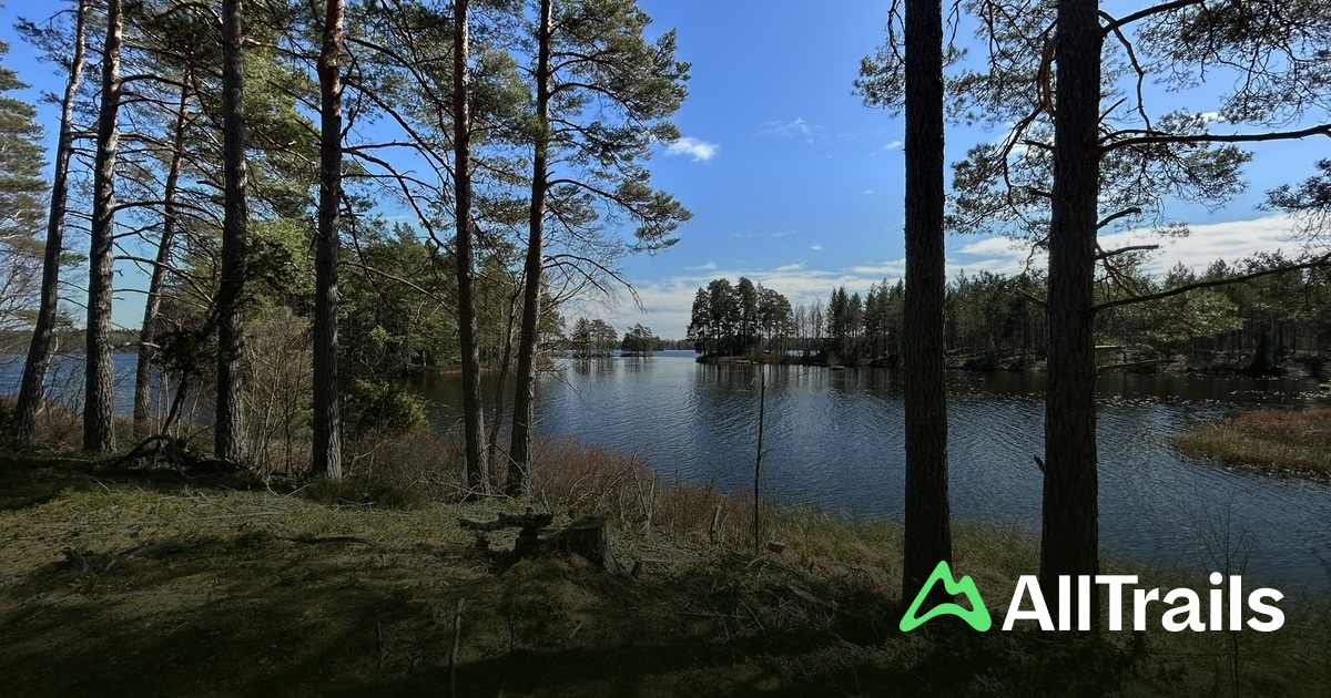 MOMOS Camping Orrefors: Die besten Routen in der Umgebung | AllTrails
