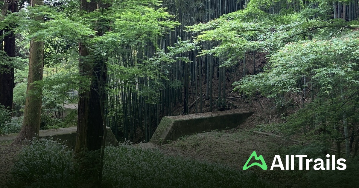 Mt. Tenno - hikes and trails to get you there | AllTrails