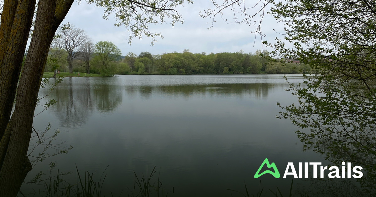 Maincamping Lichtenfels - hikes and trails to get you there | AllTrails