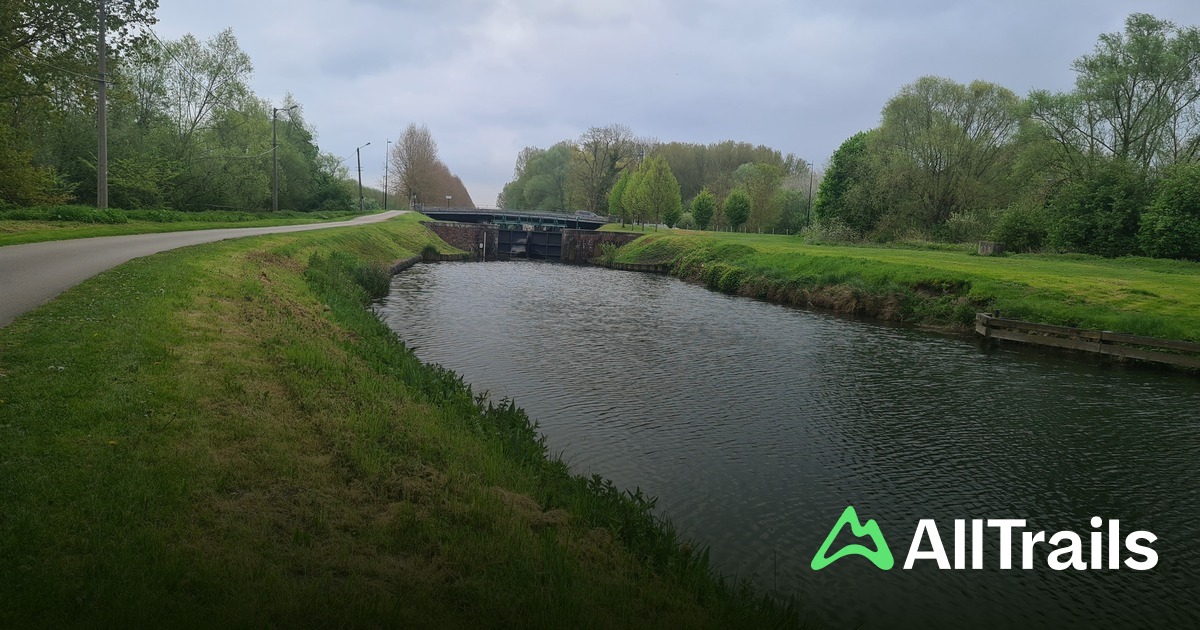 Aire de camping-car du Camping des Cygnes : les meilleures randonnes |  AllTrails