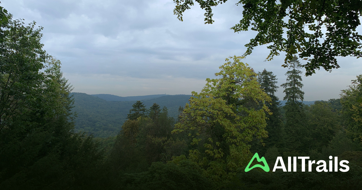 Rhododendrenhain: Die besten Routen in der Umgebung | AllTrails