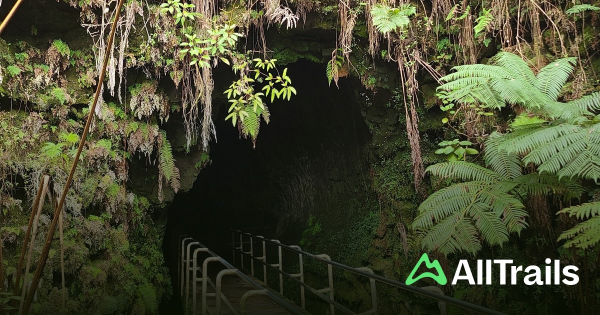 極希少/HAWAII AOR◆PAHOEHOE/ACOUSTICAL REALM 極希少/HAWAII AOR◇PAHOEHOE/ACOUSTICAL REALM Hawaii Aor