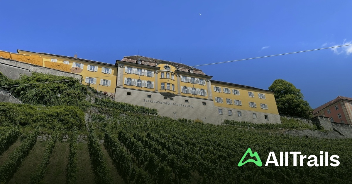 Campingplatz Haltnau - hikes and trails to get you there | AllTrails