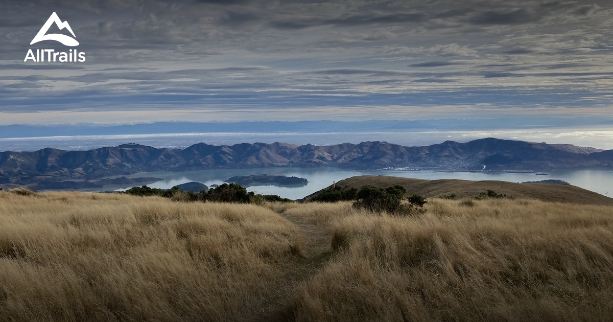 Best Trails near Mount Herbert AllTrails