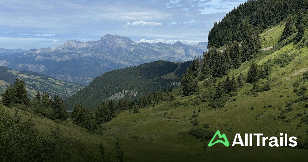 Refuge De La Croix De Pierre Les Meilleures Randonn es AllTrails refuge-de-la-croix-de-pierre-les-meilleures-randonn-es-alltrails