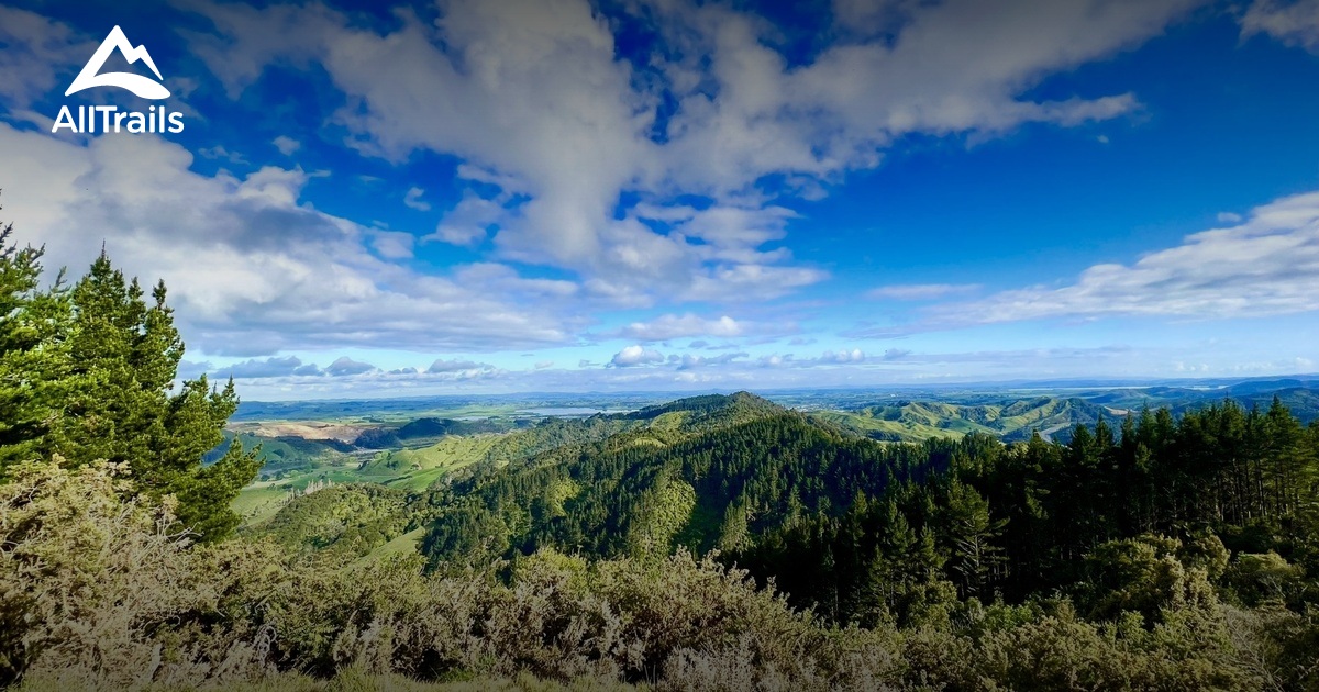 Taupiri Die schönsten Wege zum Wandern in 2023 AllTrails