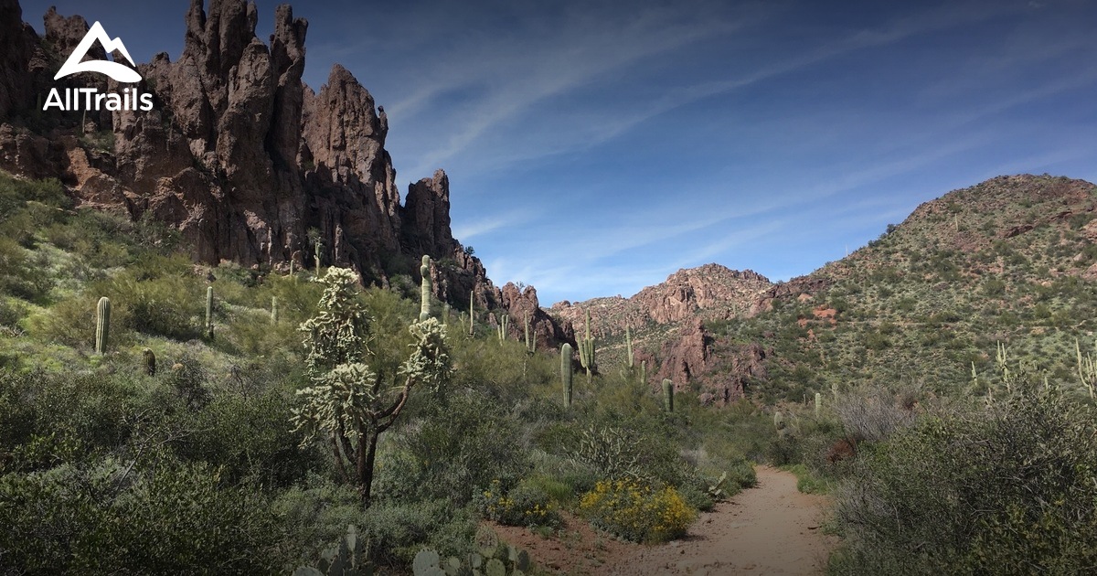 Best Trails near Palomino Mountain AllTrails