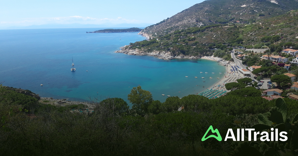 Camping Lacona Pineta - hikes and trails to get you there | AllTrails