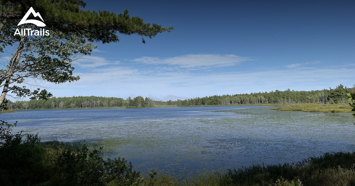 Paradise Hill - hikes and trails to get you there | AllTrails