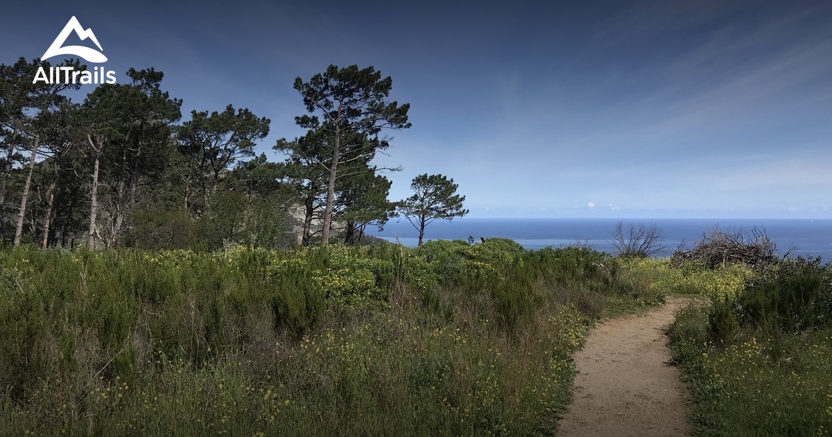 Signal Hill Die 10 schönsten Wege zum Wandern in 2023 AllTrails