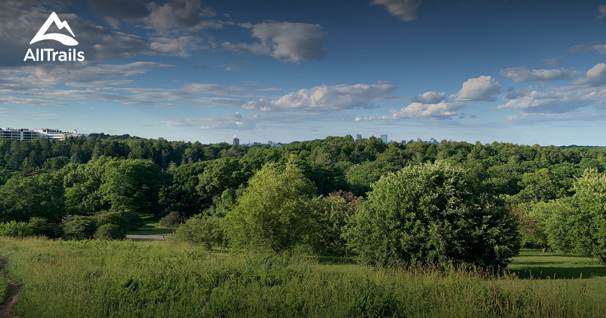 2023 Best Trails near Bussey Hill AllTrails