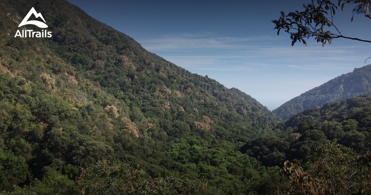 10 Best Trails near Sturtevant Falls AllTrails