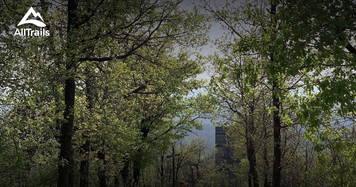 Die besten Routen in der Nähe von La Fornatta AllTrails