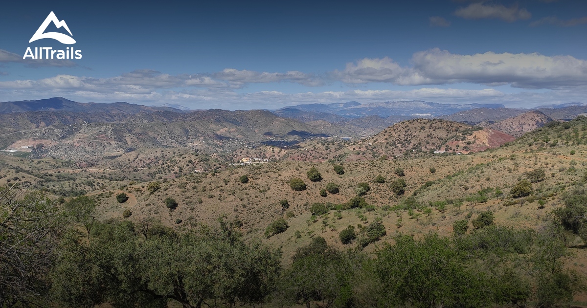 2023 Beste Routen in der Umgebung von Cerro La Peluca AllTrails