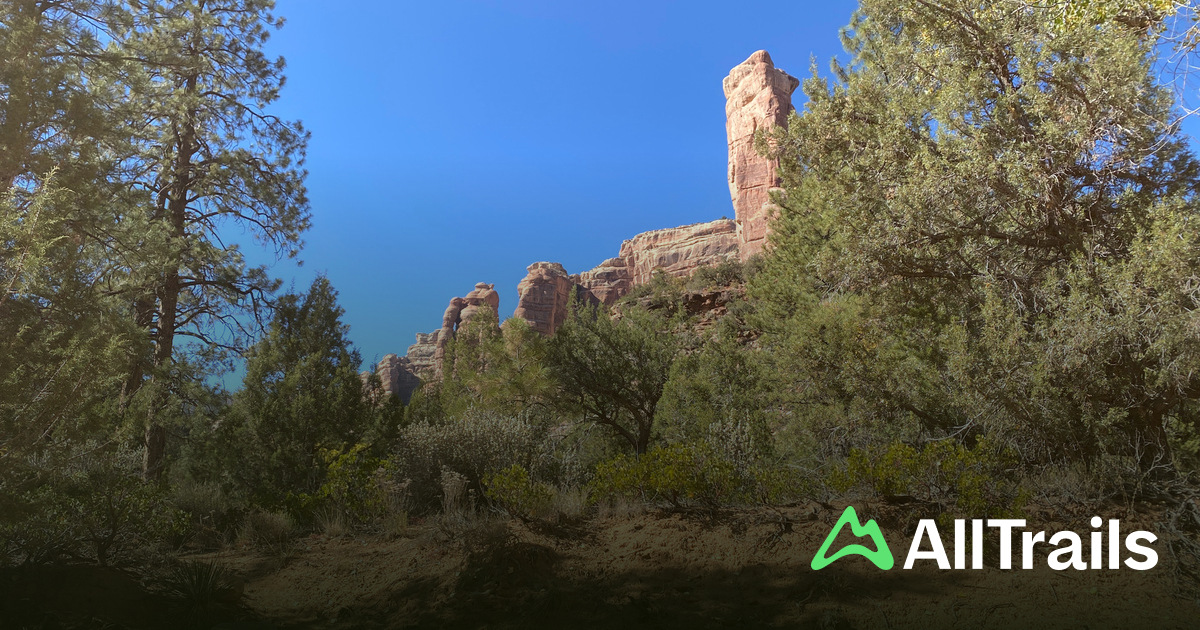 Arch Canyon - hikes and trails to get you there | AllTrails