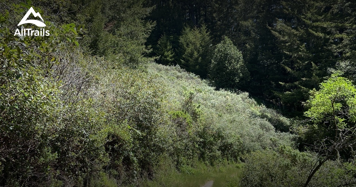 Best Trails near Bald Knob AllTrails