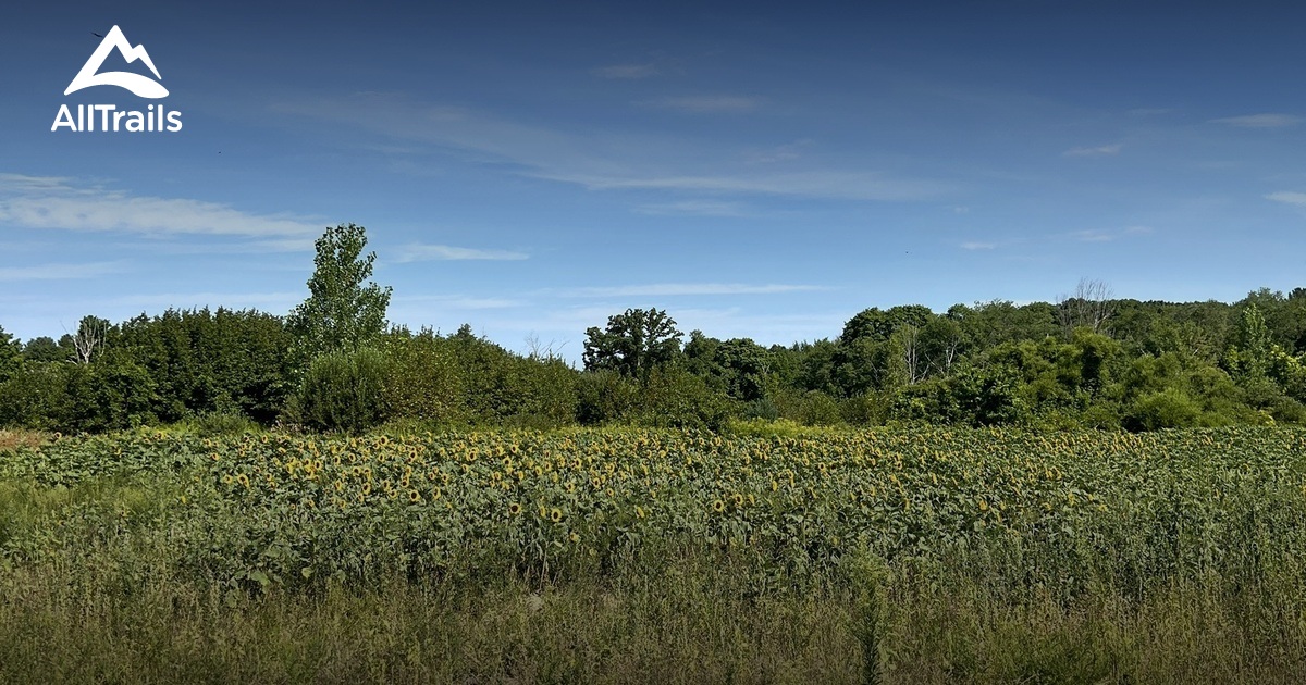 2023 Beste Routen in der Umgebung von Fiske Hill AllTrails