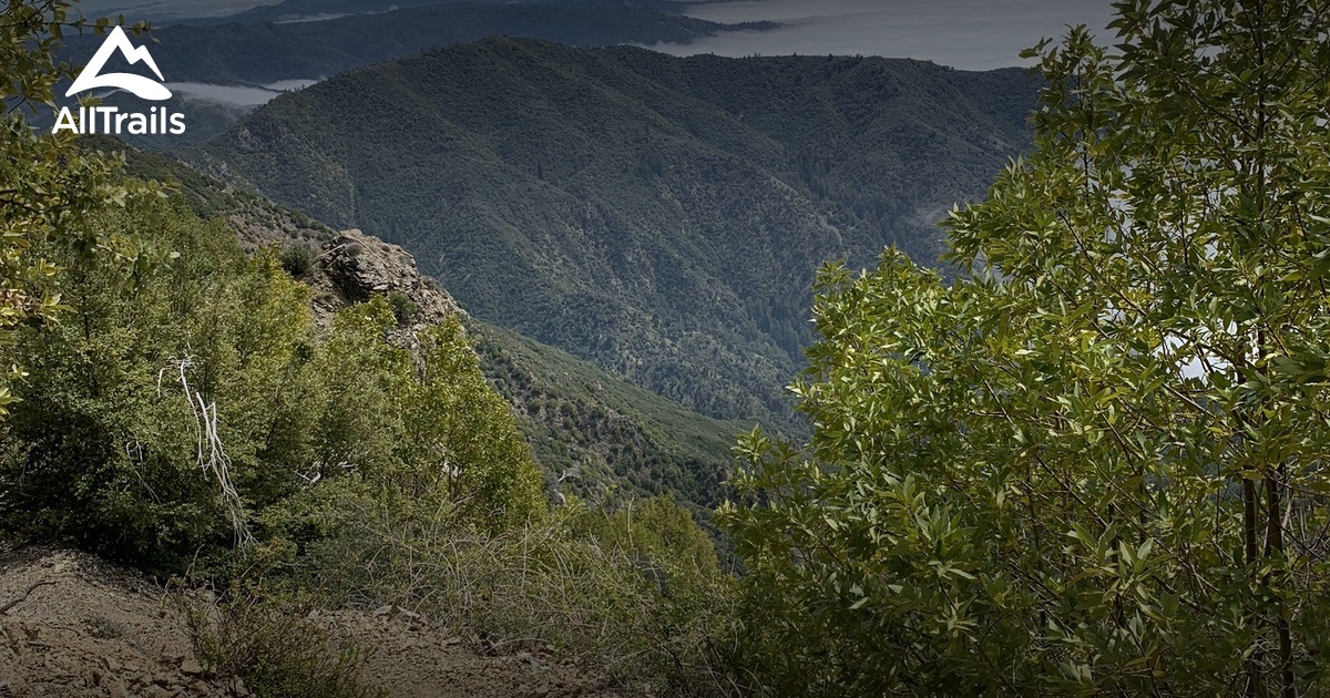 10 Best Trails near Cone Peak AllTrails