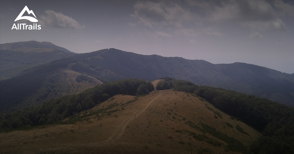 2023 Beste Routen in der Umgebung von Poggio Varco di Castelfranco