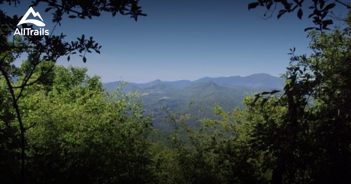 Die besten Routen in der Nähe von La Collina AllTrails