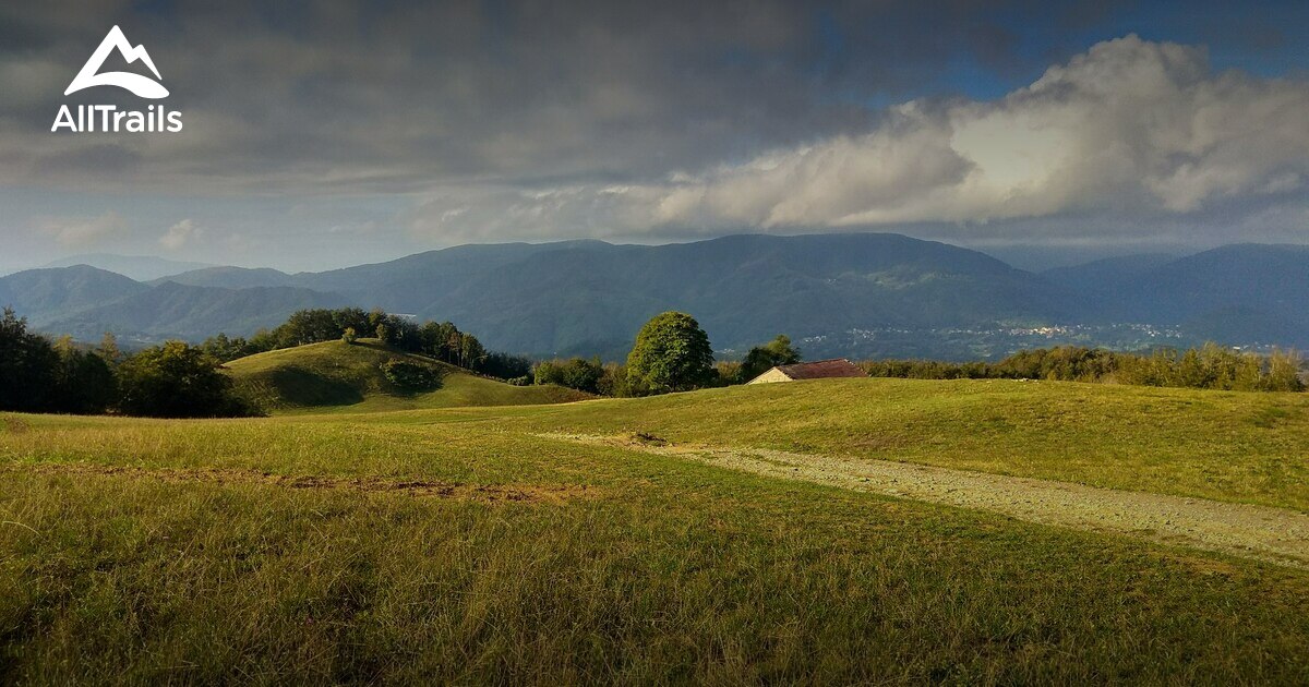 2023 Beste Routen in der Umgebung von Monte Luario AllTrails
