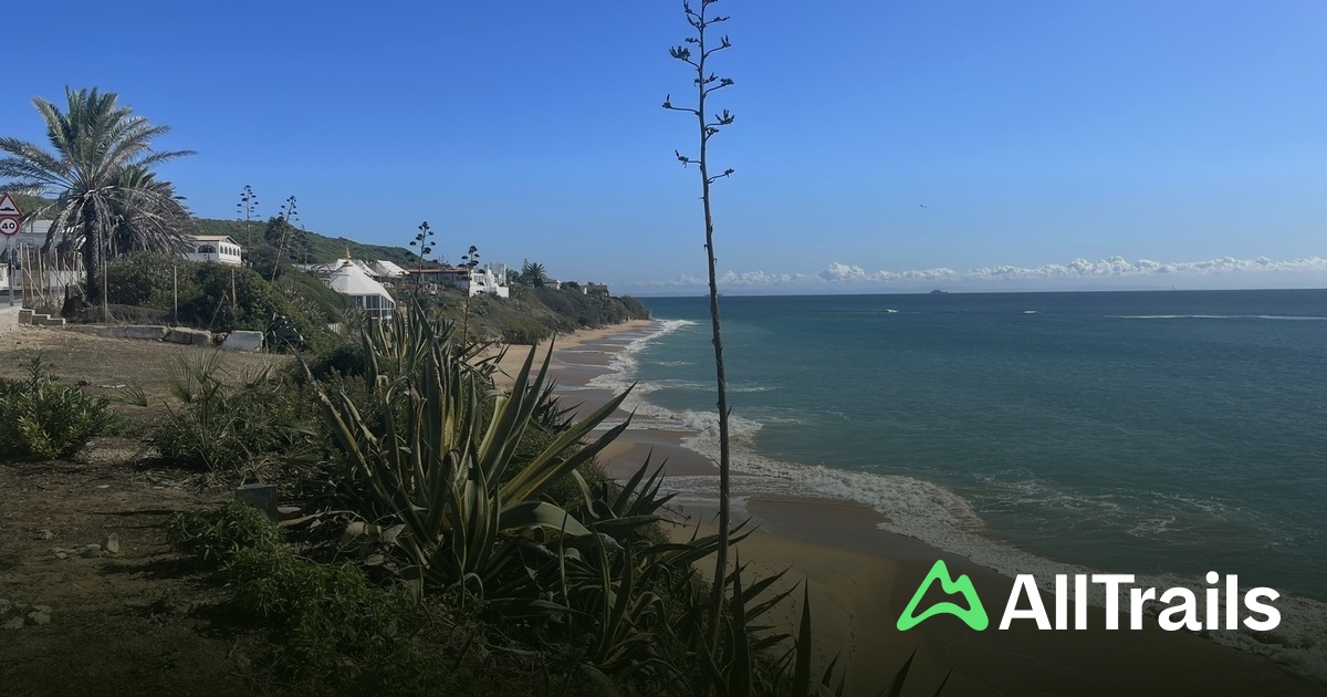 Camping Pinar San Jos - hikes and trails to get you there | AllTrails