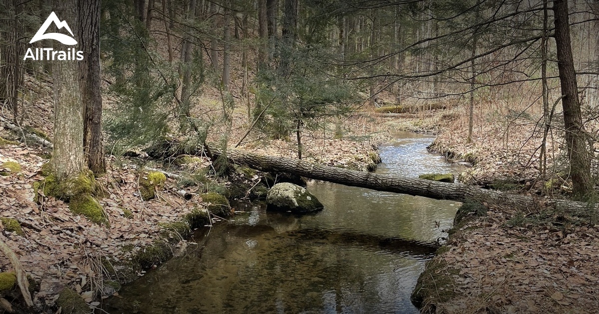 Best Trails near Cricket Hill AllTrails