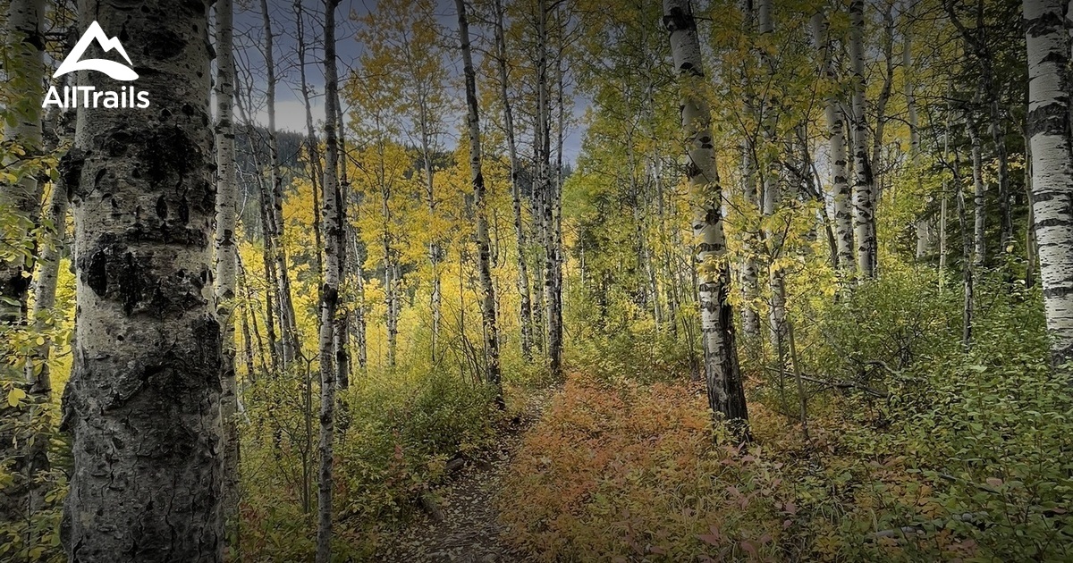 Best Trails near Martin Falls AllTrails