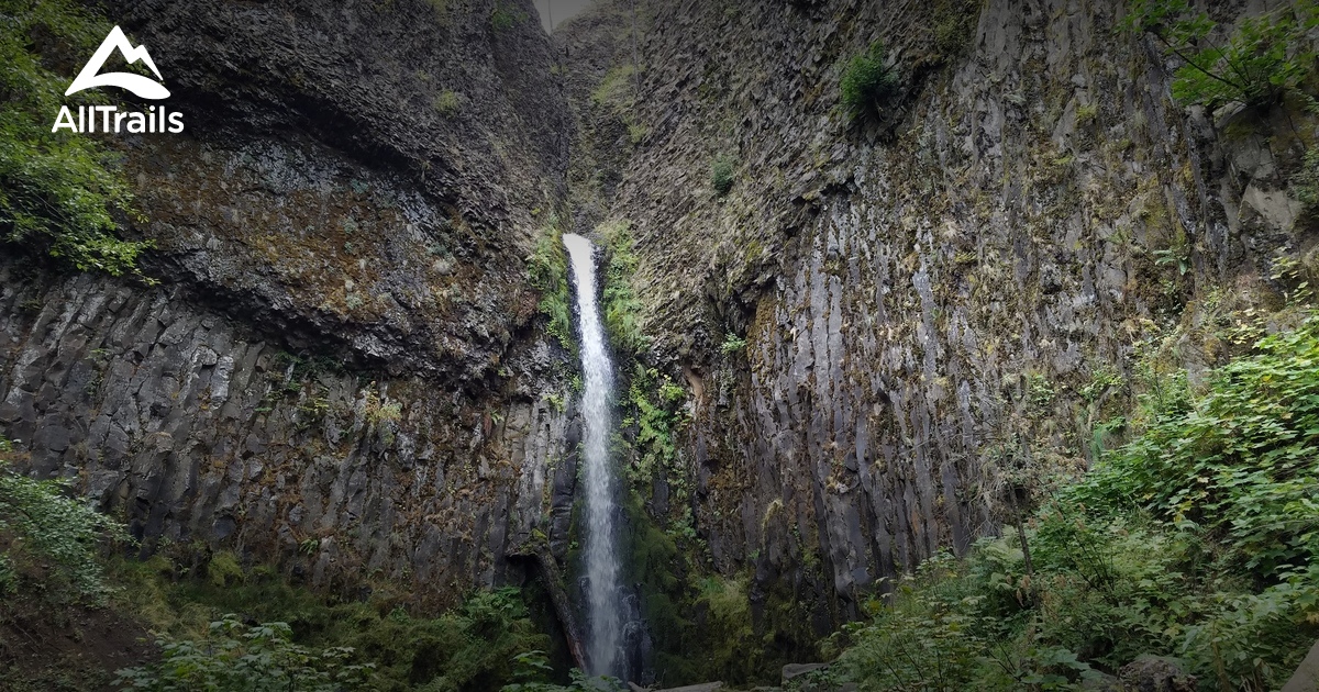 Dry Creek Falls via the PCT: A Complete Trail Guide