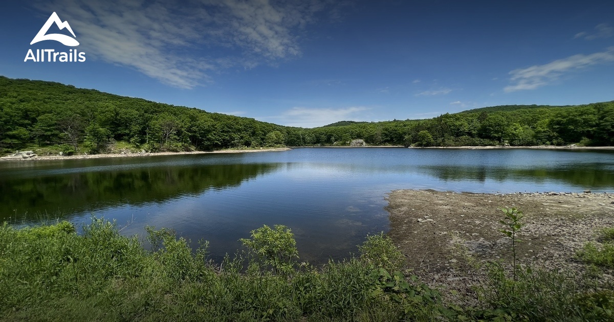 2023 Beste 10 Routen in der Umgebung von Honey Hill AllTrails
