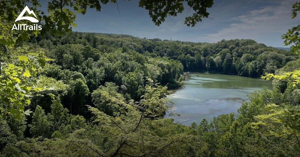 Potter's Falls – Southeast Waterfall & Hiking Guide