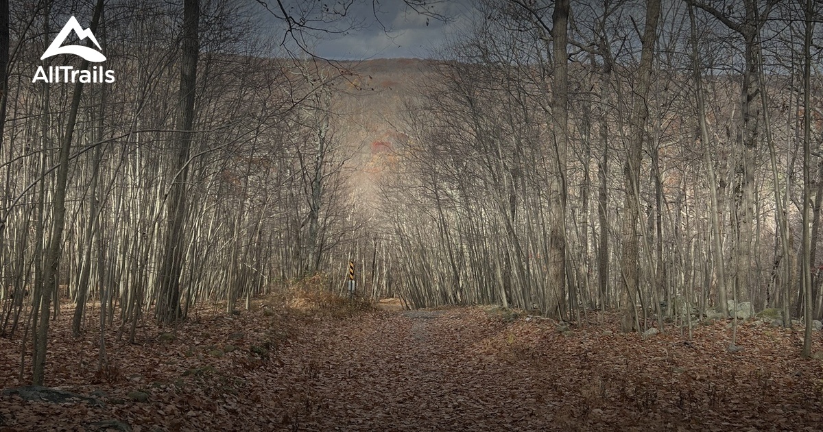 Best Trails near Bowling Green Mountain AllTrails