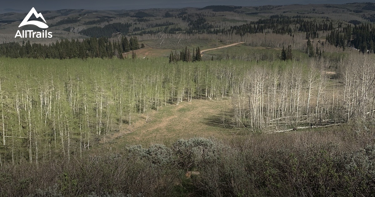 Best trails near Monte Cristo Peak AllTrails