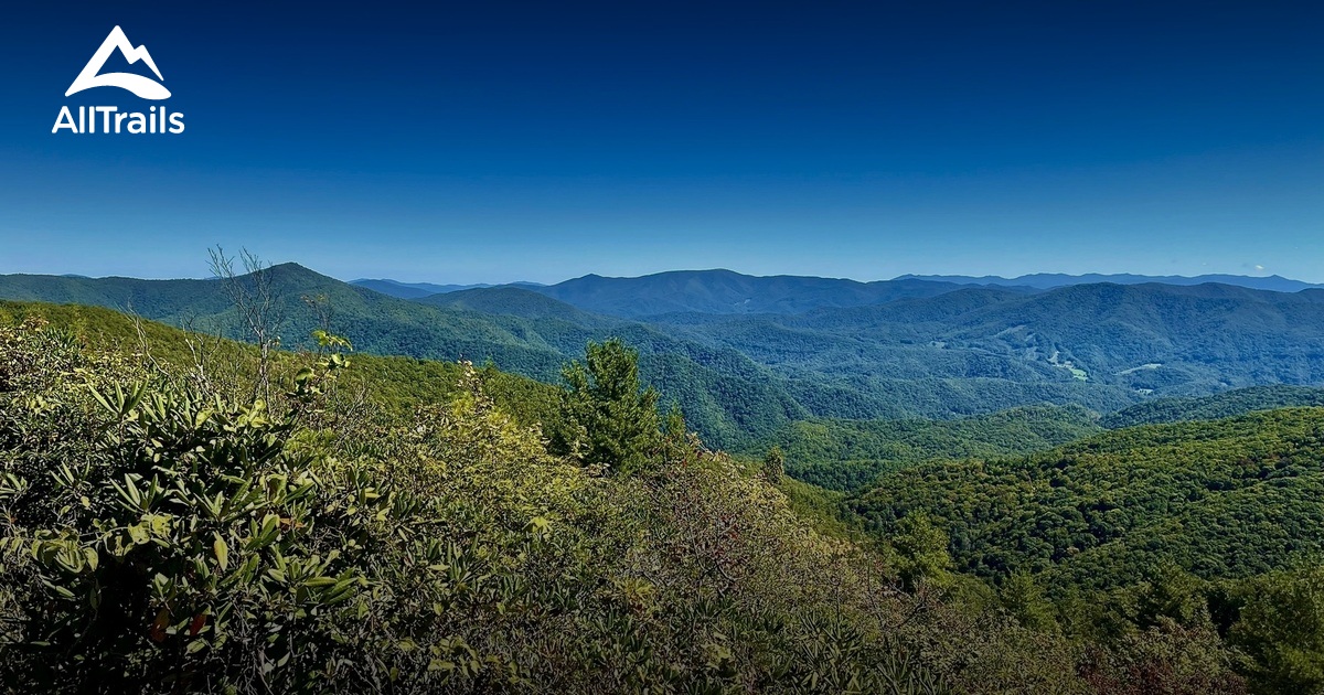 Best Trails near Bald Mountain AllTrails