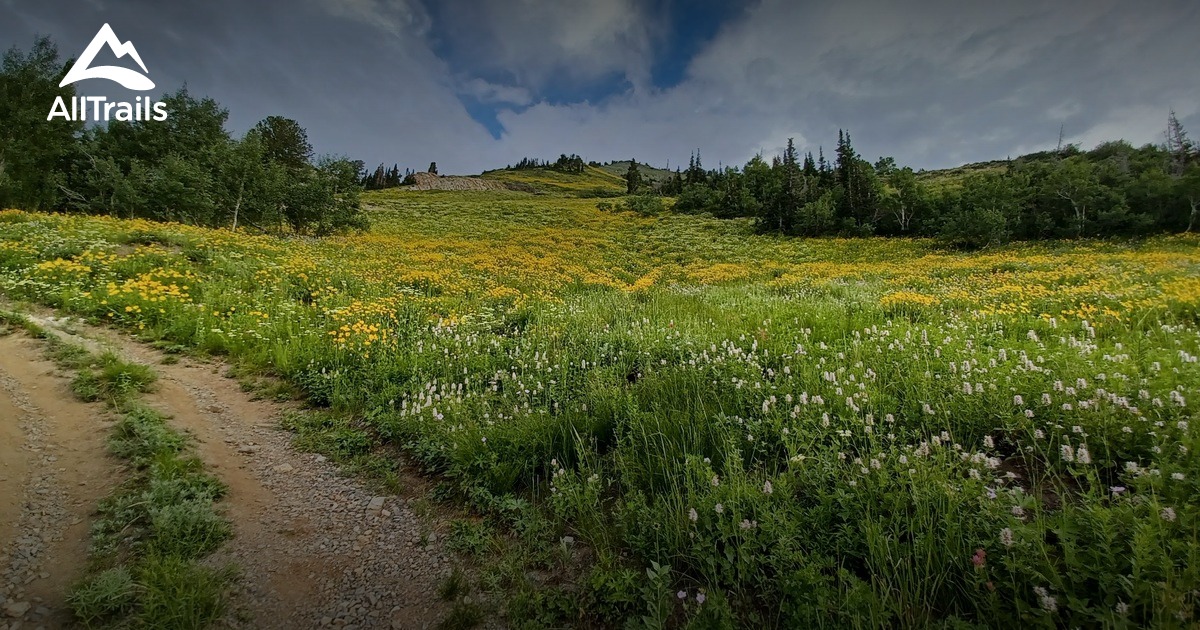 Best Trails near Monte Cristo AllTrails