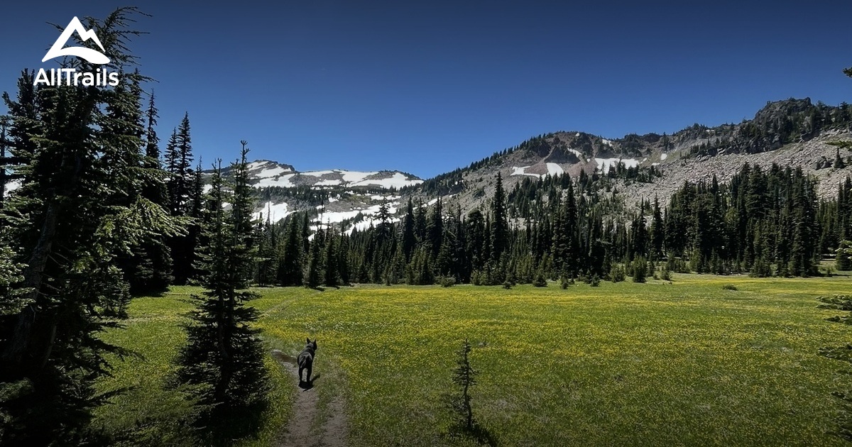 Best trails near Bear Creek Mountain | AllTrails