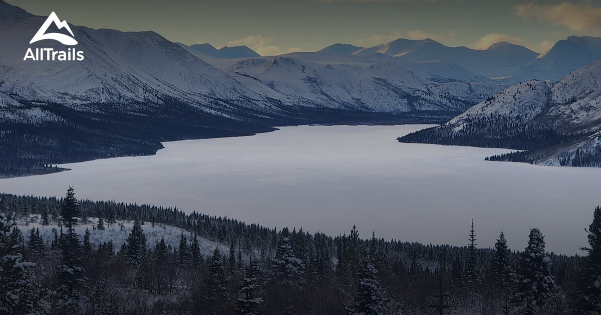 Los mejores senderos cerca de Monte McIntyre AllTrails