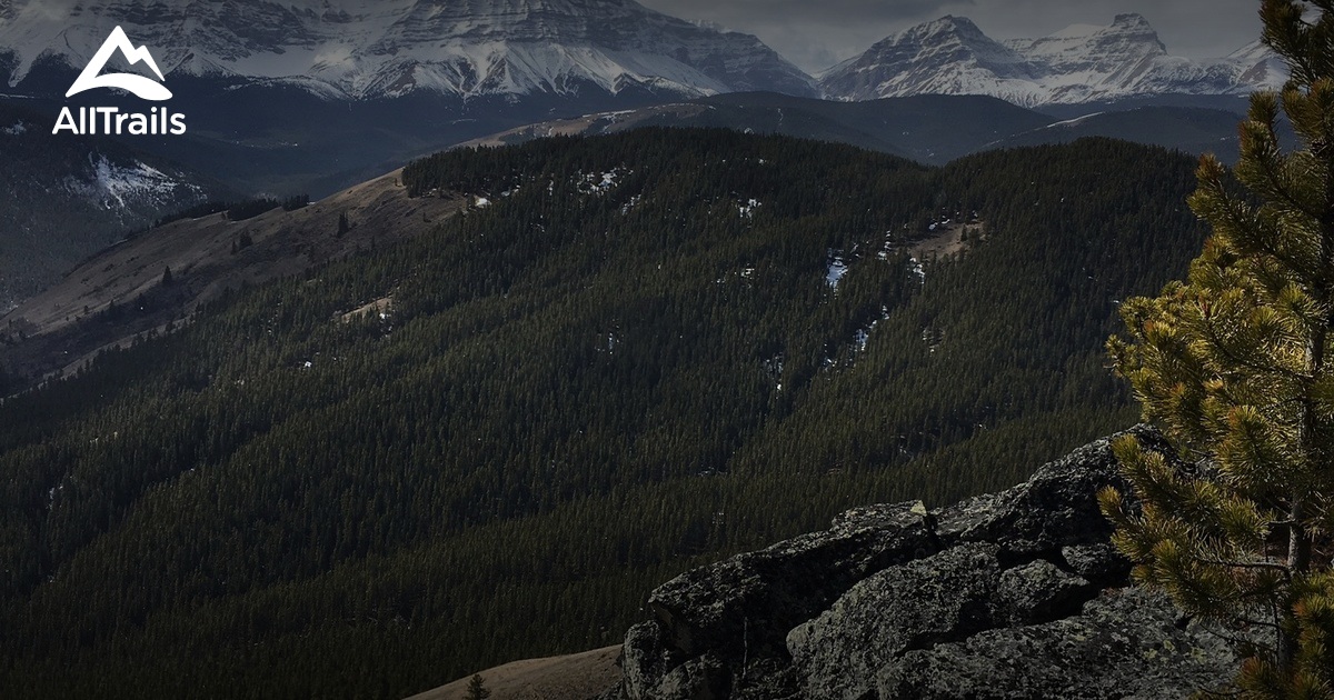 2023 Beste Routen in der Umgebung von Junction Hill AllTrails