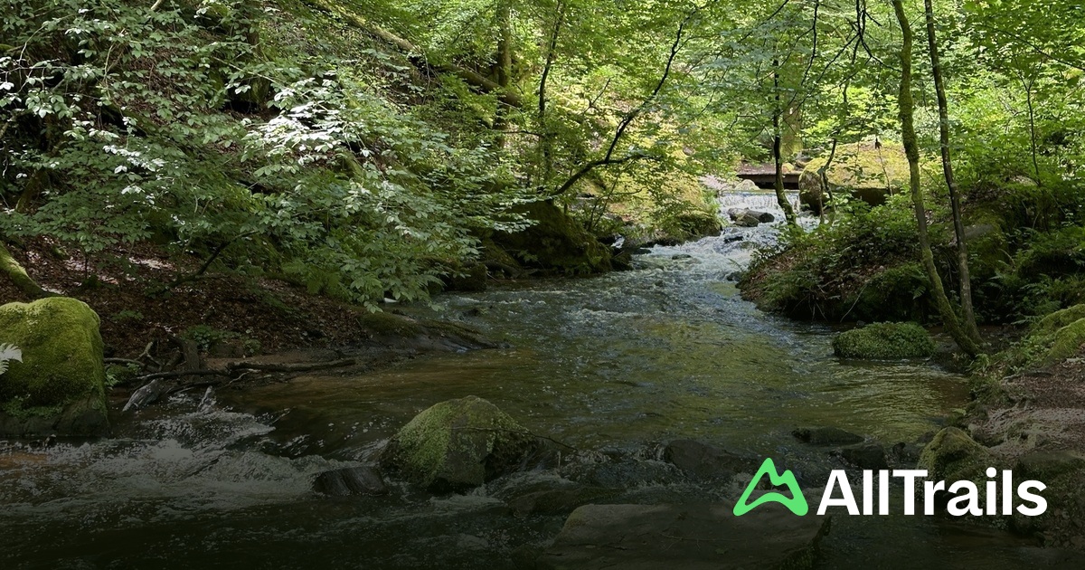 Camping-Freizeitzentrum Sgmhle: Die besten Routen in der Umgebung |  AllTrails