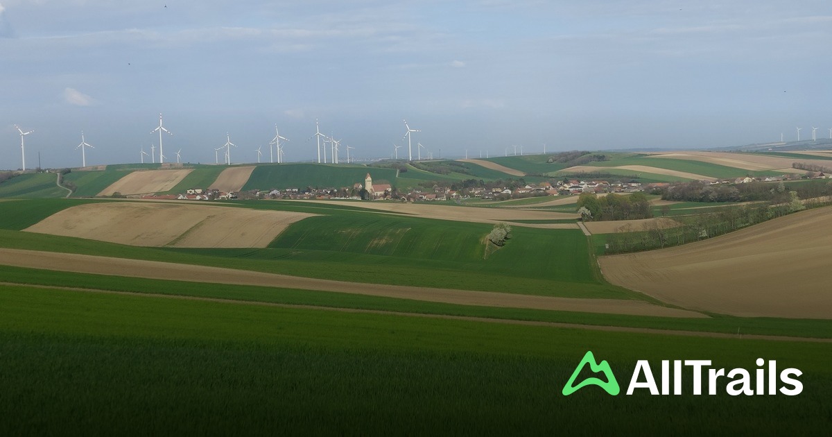 Trausnitzerberg - Mistelbach