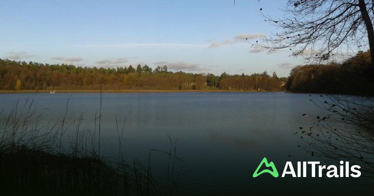 heringe fr zelt Schraubheringe fr Camping und Zelt