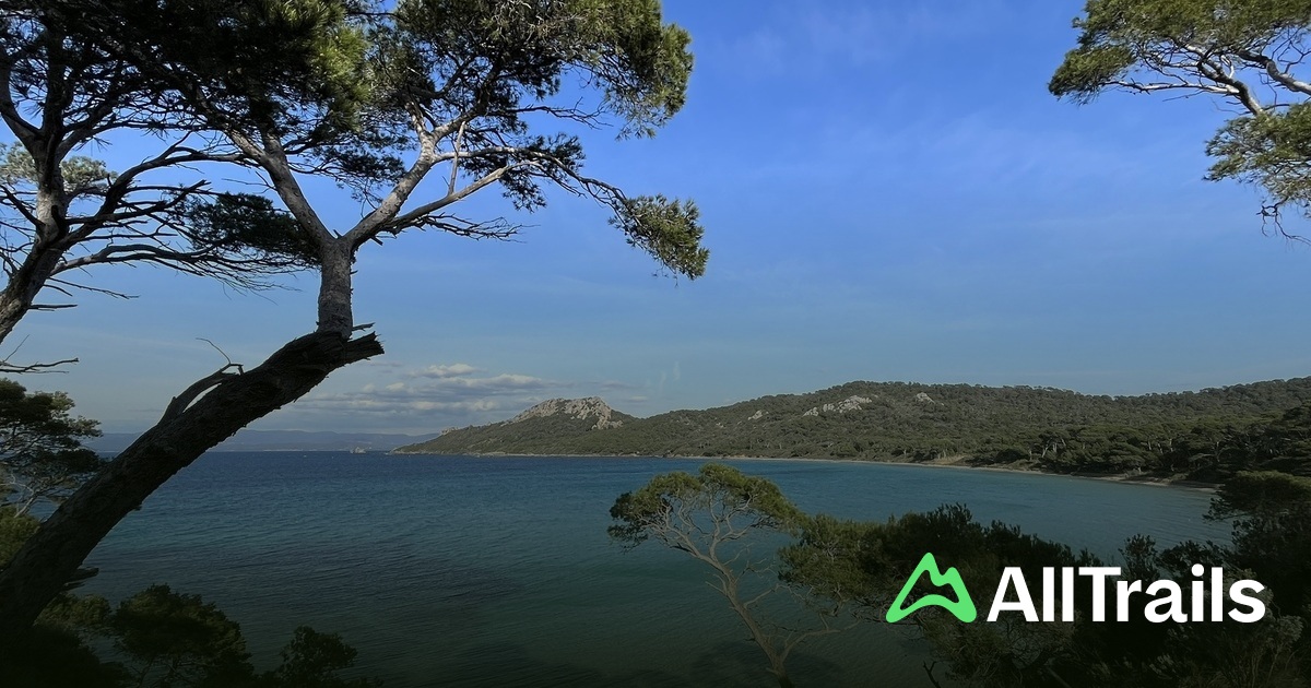 Anse de Bon-Renaud