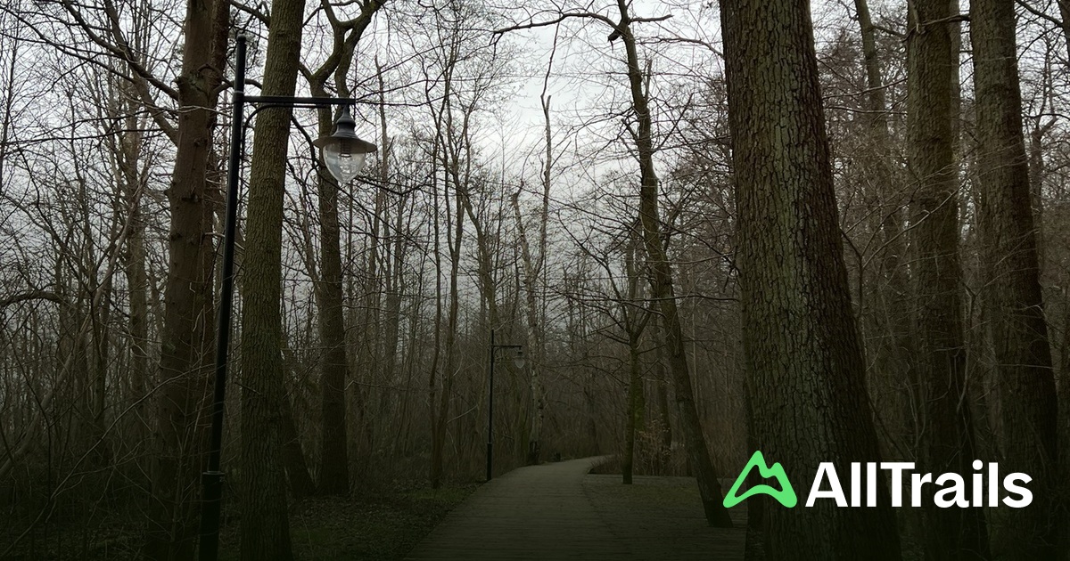 Camping Metropolis - hikes and trails to get you there | AllTrails