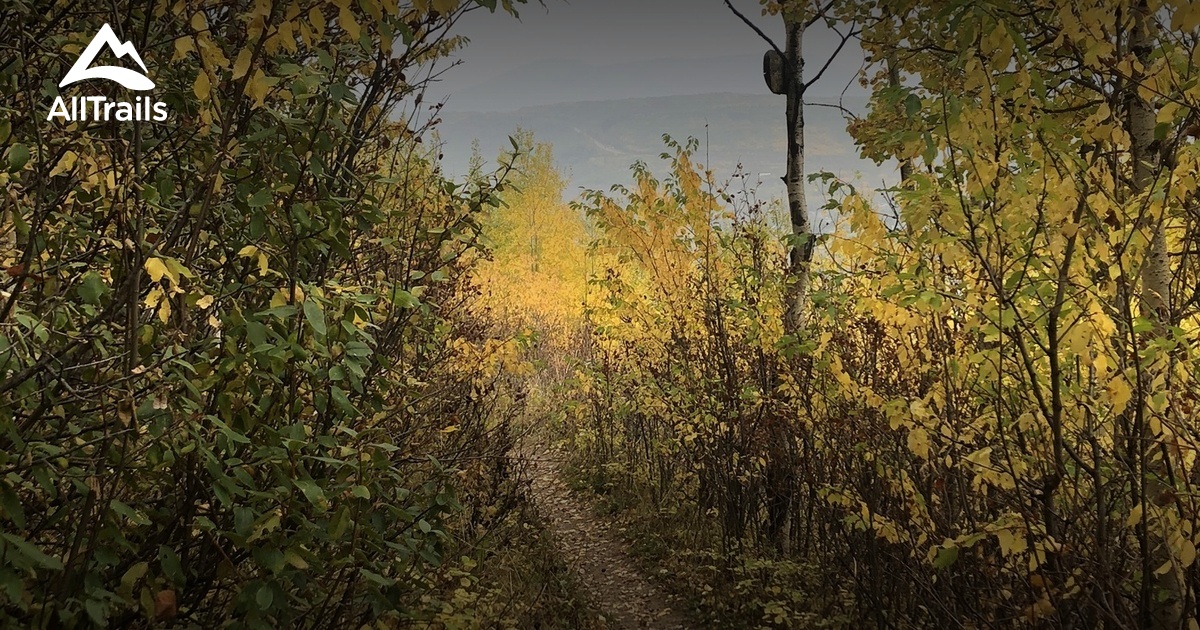 Best Trails Near Old Baldy Alltrails