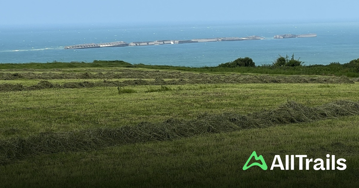 Camping municipal des Bords de l'Aure : les meilleures randonnes |  AllTrails