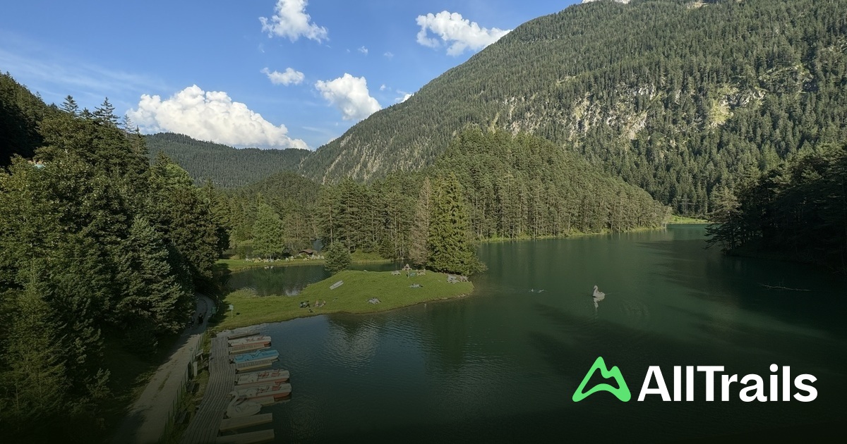 Romantik Camping Fernsteinsee - hikes and trails to get you there |  AllTrails